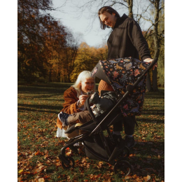 Прогулочная коляска Anex Air-Z, Arrr (Az-SE-02) черный с принтом