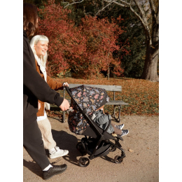 Прогулочная коляска Anex Air-Z, Arrr (Az-SE-02) черный с принтом