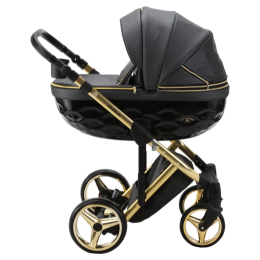 Коляска 2 в 1 Adamex Chantal SE DeLuxe C-113 (черный перламутр+золотая рама) 