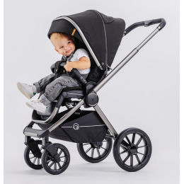 Коляска 2 в 1 Rant Falcon, RA097, Black (Черный)