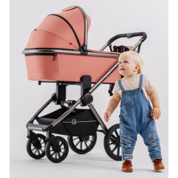 Коляска 2 в 1 Rant Falcon, RA097, Pink (Розовый)