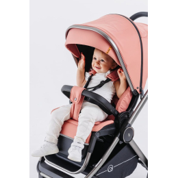 Коляска 3 в 1 Rant Falcon, RA098, Pink (Розовый)