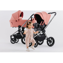 Коляска 3 в 1 Rant Flex Pro 2023, RA075, Pink (Розовый)