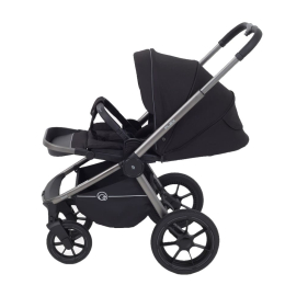Коляска 2 в 1 Rant Flex Pro 2023, RA074, Black (Черный)
