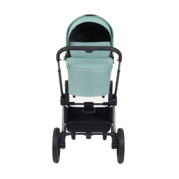 Коляска 2 в 1 Rant Flex Pro 2023, RA074, Green (Зеленый)