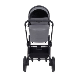 Коляска 2 в 1 Rant Flex Pro 2023, RA074, Grey (Серый)