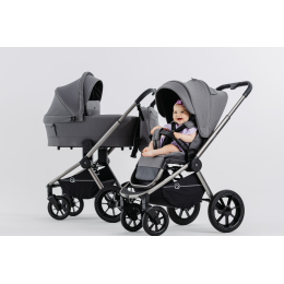 Коляска 2 в 1 Rant Flex Pro 2023, RA074, Grey (Серый)