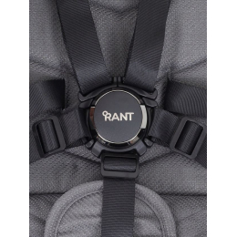 Прогулочная коляска Rant Flex Pro, RA099, Grey (Серый)