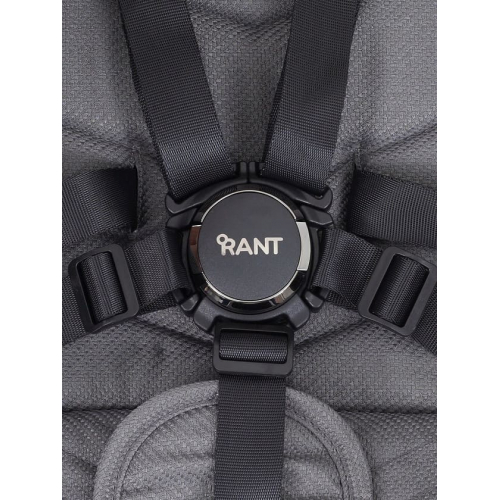 Прогулочная коляска Rant Flex Pro, RA099, Grey (Серый)