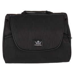 Коляска 2 в 1 Adamex Chantal, C-213 (Черный)