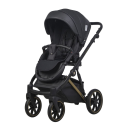 Коляска 2 в 1 Riko Basic Montana Premium Gold 02 Black (черный)