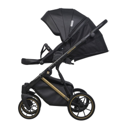 Коляска 2 в 1 Riko Basic Montana Premium Gold 02 Black (черный)