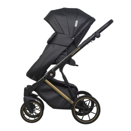 Коляска 2 в 1 Riko Basic Montana Premium Gold 02 Black (черный)