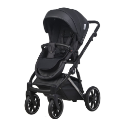 Коляска 2 в 1 Riko Basic Montana Premium Silver 22 Black (черный)