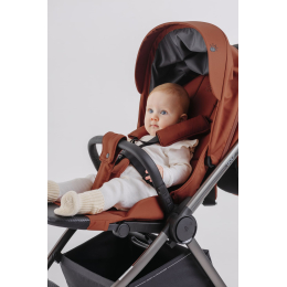 Прогулочная коляска Rant Golf Maroon Brown (Коричневый)