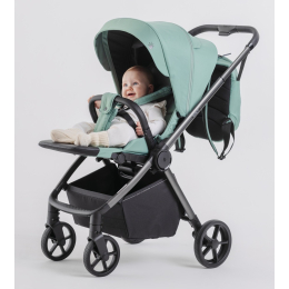 Прогулочная коляска Rant Golf Sage Green (Мятный)