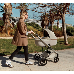 Коляска 2 в 1 Anex Eli Muse (el-01)