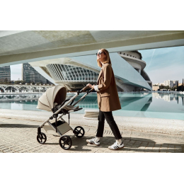 Коляска 2 в 1 Anex Eli Muse (el-01)