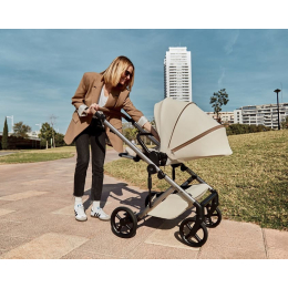 Коляска 2 в 1 Anex Eli Muse (el-01)