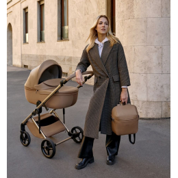 Коляска 3 в 1 Anex Eli Secret (el-03)