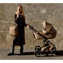Коляска 3 в 1 Anex Eli Secret (el-03)