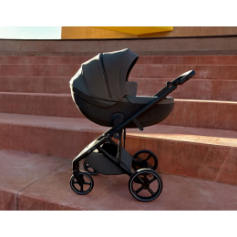 Коляска 3 в 1 Anex Mev Ditto (mo-01)