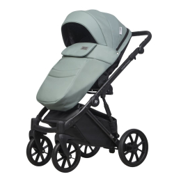 Коляска 2 в 1 Riko Basic Montana Ecco 21 Green (зеленый)