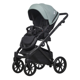 Коляска 3 в 1 Riko Basic Montana Ecco 21 Green (зеленый)