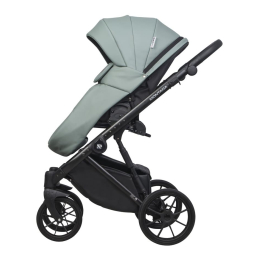 Коляска 3 в 1 Riko Basic Montana Ecco 21 Green (зеленый)