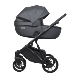 Коляска 2 в 1 Riko Basic Montana Ecco 24 Graphite (графит)