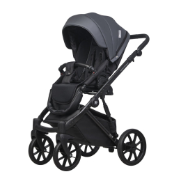 Коляска 2 в 1 Riko Basic Montana Ecco 24 Graphite (графит)