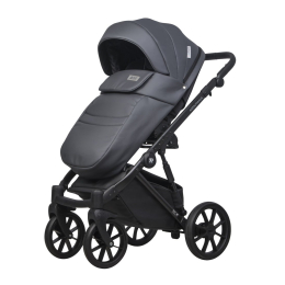 Коляска 2 в 1 Riko Basic Montana Ecco 24 Graphite (графит)