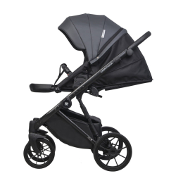 Коляска 2 в 1 Riko Basic Montana Ecco 24 Graphite (графит)
