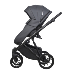 Коляска 2 в 1 Riko Basic Montana Ecco 24 Graphite (графит)