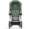 Прогулочная коляска Cybex Mios цвет Leaf Green шасси Rosegold