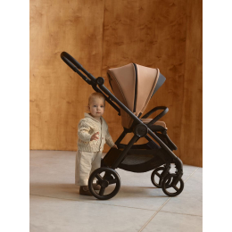 Коляска 2 в 1 Anex IQ Basic Siena (Коричневый)