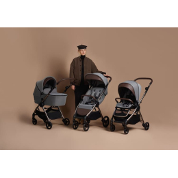 Коляска 2 в 1 Anex IQ Premium Pure (Серый)