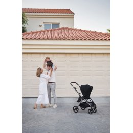 Коляска 2 в 1 Anex IQ Premium Smoky (Черный)