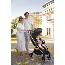 Коляска 2 в 1 Anex IQ Premium Smoky (Черный)