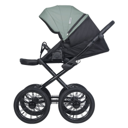 Коляска 2 в 1 Riko Basic Montana Ecco Prestige 21 Green (зеленый)