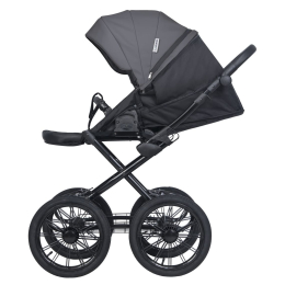 Коляска 2 в 1 Riko Basic Montana Ecco Prestige 24 Graphite (Графит)