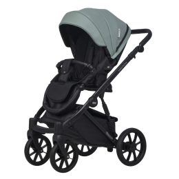 Коляска 2 в 1 Riko Basic Montana Ecco 30 Green-Grey (зеленый-серый)