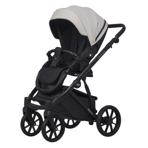 Коляска 2 в 1 Riko Basic Montana Ecco 31 Light Silver-Black (св.серый-черный)