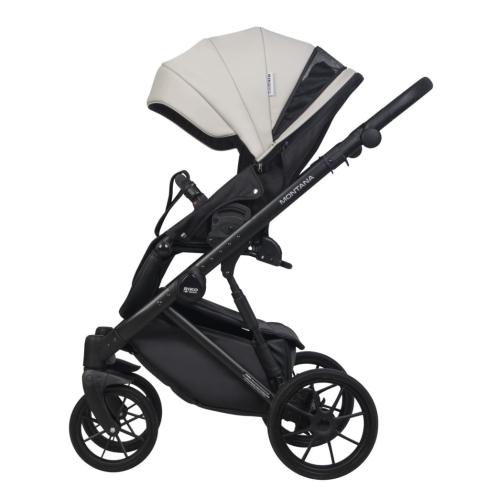 Коляска 2 в 1 Riko Basic Montana Ecco 31 Light Silver-Black (св.серый-черный)