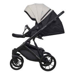 Коляска 2 в 1 Riko Basic Montana Ecco 31 Light Silver-Black (св.серый-черный)