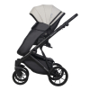 Коляска 2 в 1 Riko Basic Montana Ecco 31 Light Silver-Black (св.серый-черный)