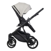 Коляска 3 в 1 Riko Basic Montana Ecco 31 Light Silver-Black (св.серый-черный)