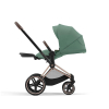 Коляска 2 в 1 Cybex Priam 4 цвет Leaf Green шасси Rose Gold