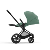 Коляска 2 в 1 Cybex Priam 4 цвет Leaf Green шасси Matt Black