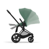 Коляска 2 в 1 Cybex Priam 4 цвет Leaf Green шасси Matt Black